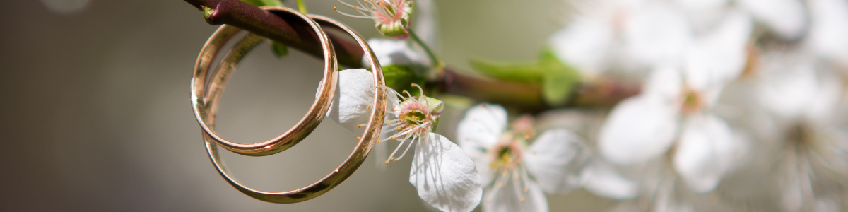 Wedding Outfits, Accessories and Gifts